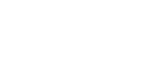 Anvit Global